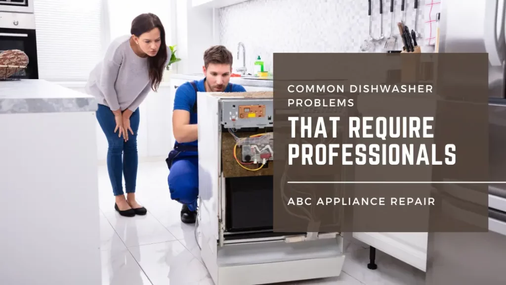 Common-Dishwasher-Problems-That-Require-Professionals-to-Fix-and-Repair